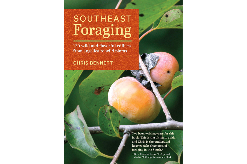 best foraging books