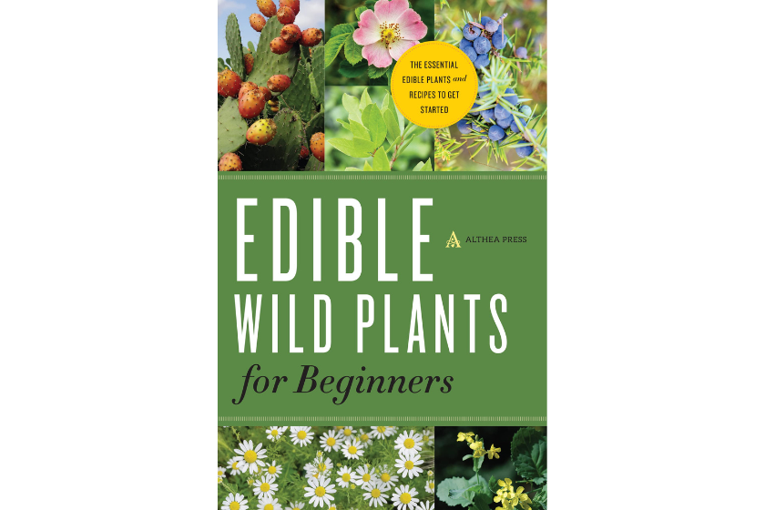 best foraging books