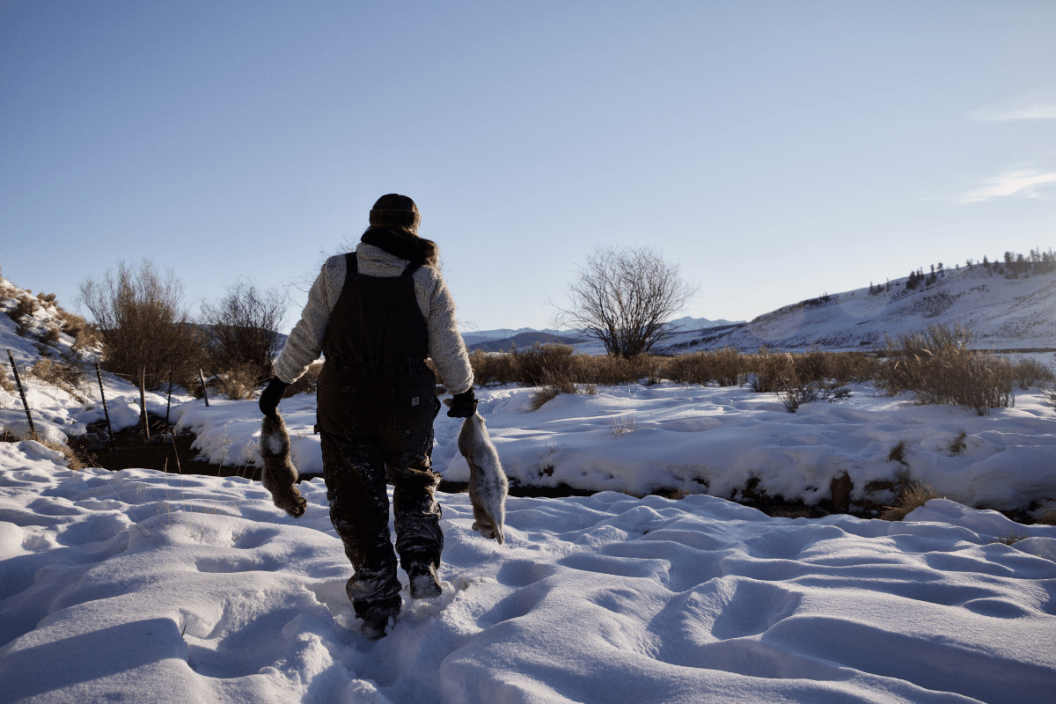 Best Rabbit Hunting Techniques From a Small Game Enthusiast - Wide Open ...