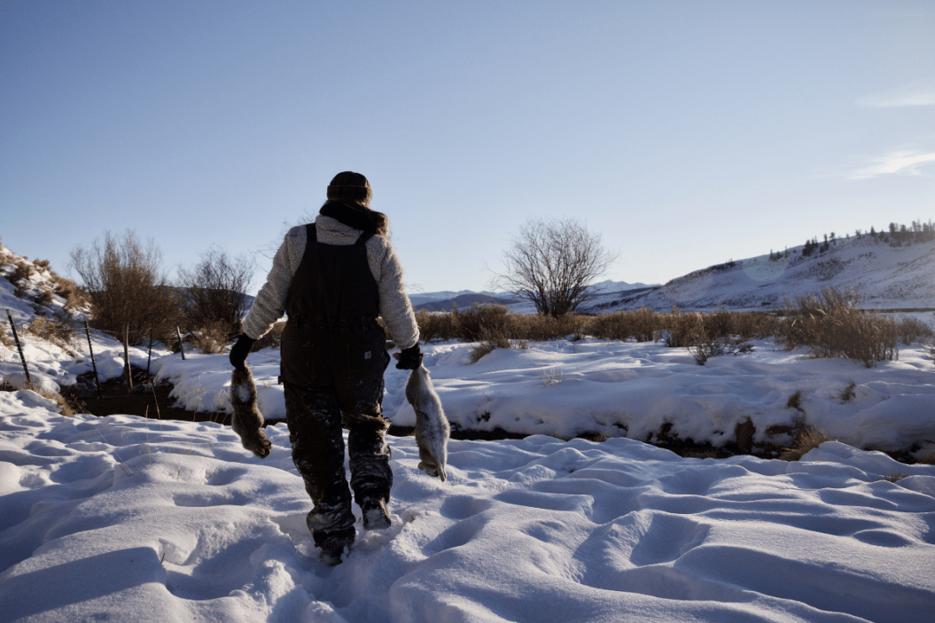 Best Rabbit Hunting Techniques From a Small Game Enthusiast Wide Open