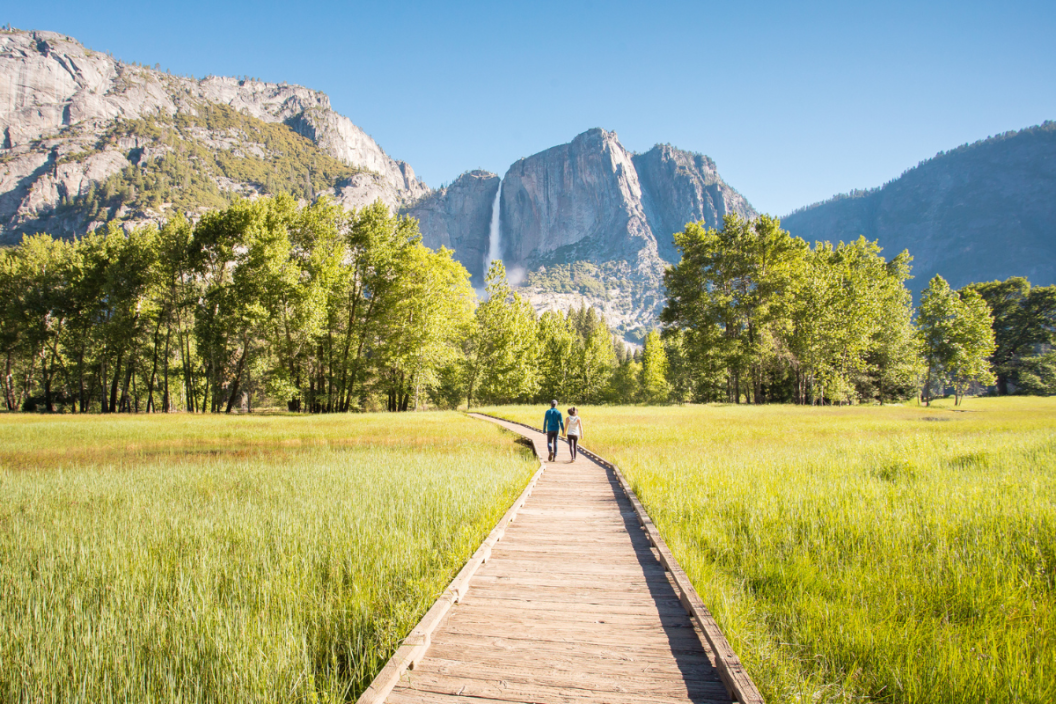 Yosemite reservation system