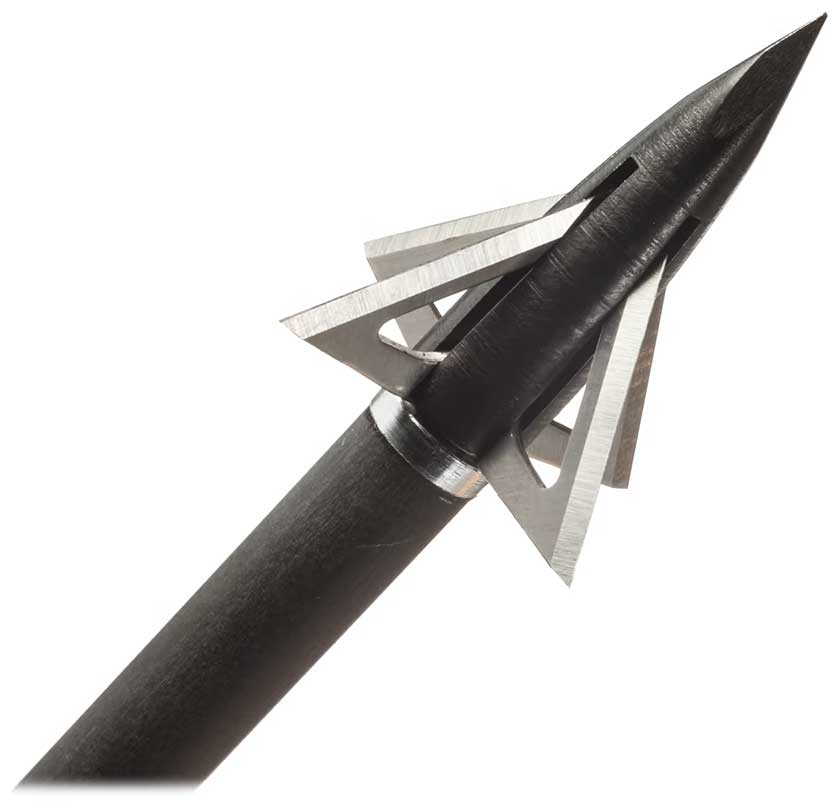 Best Broadheads for Whitetail