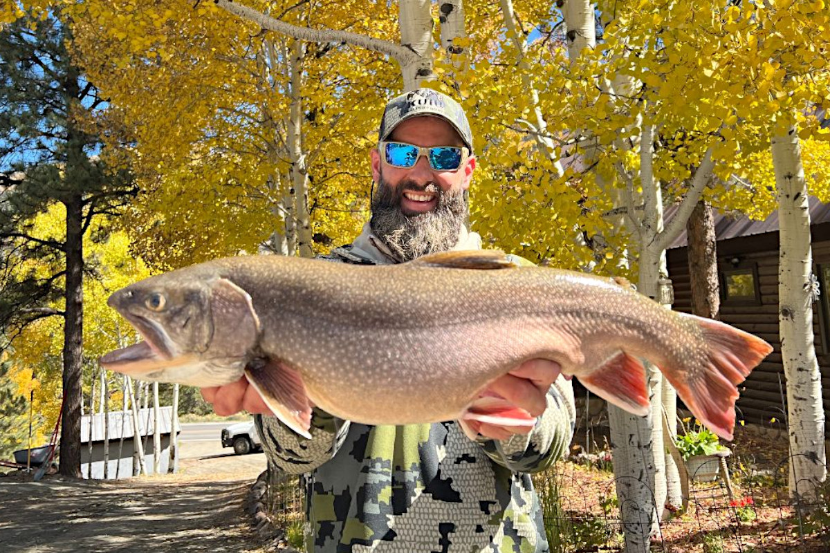 Colorado State Record Brook Trout