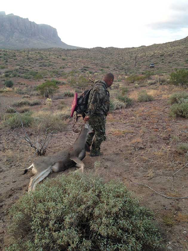 bowhunting deer in arizona