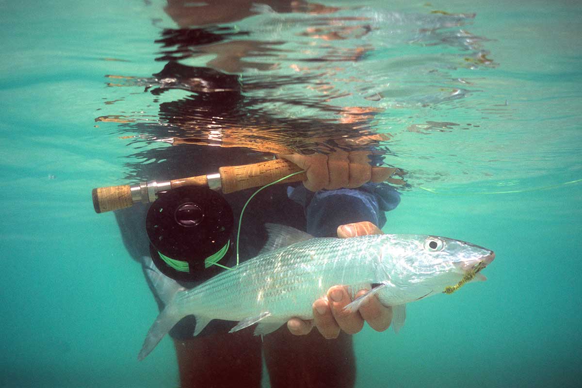 belize fly fishing grand slam