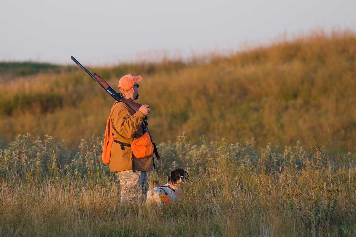 best gauge shotgun for upland