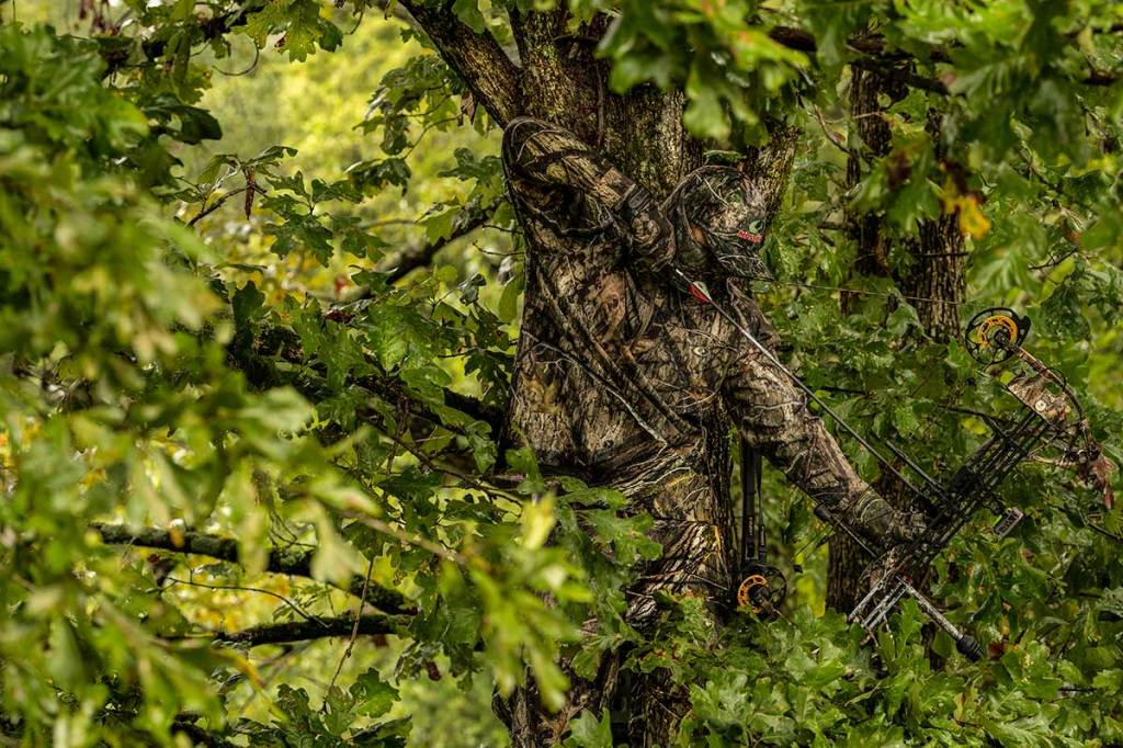 How to Stay Comfortable in Your Treestand Wide Open Spaces