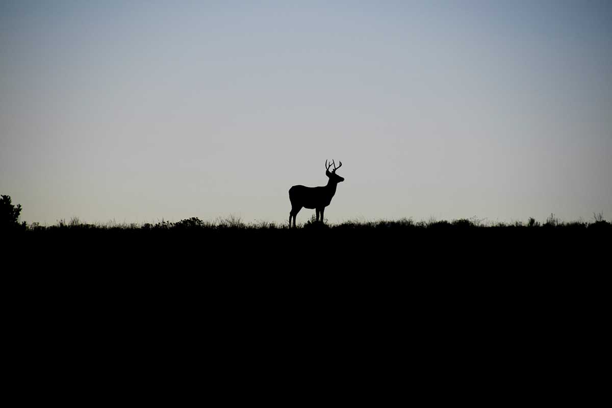 public land timing