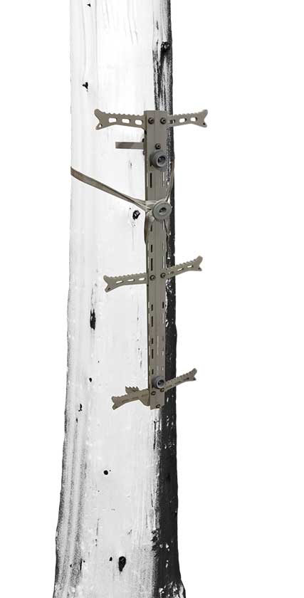 best climbing sticks