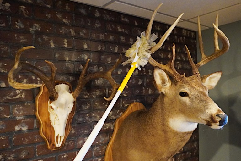 Woman Finds Hundreds of Animals in Late Husband's Secret Taxidermy