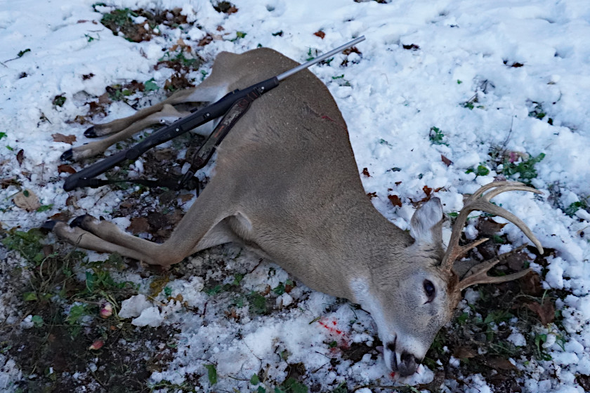 Winchester XPR 350 Legend