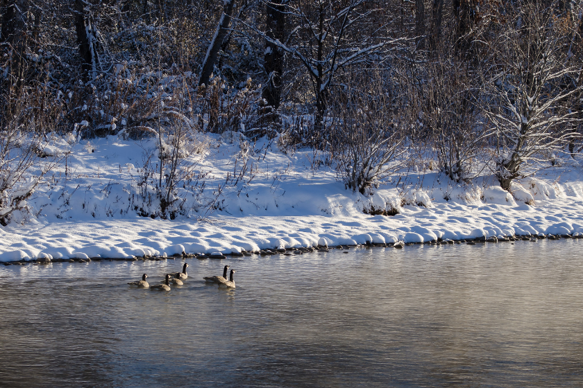 cold water wading safety