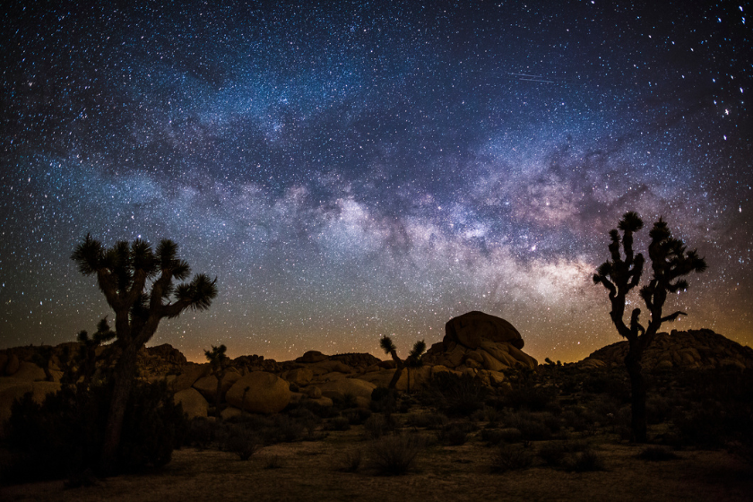 joshua tree national park