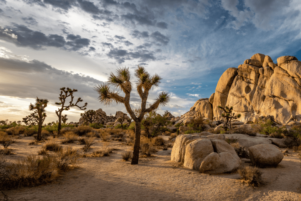 national parks in winter