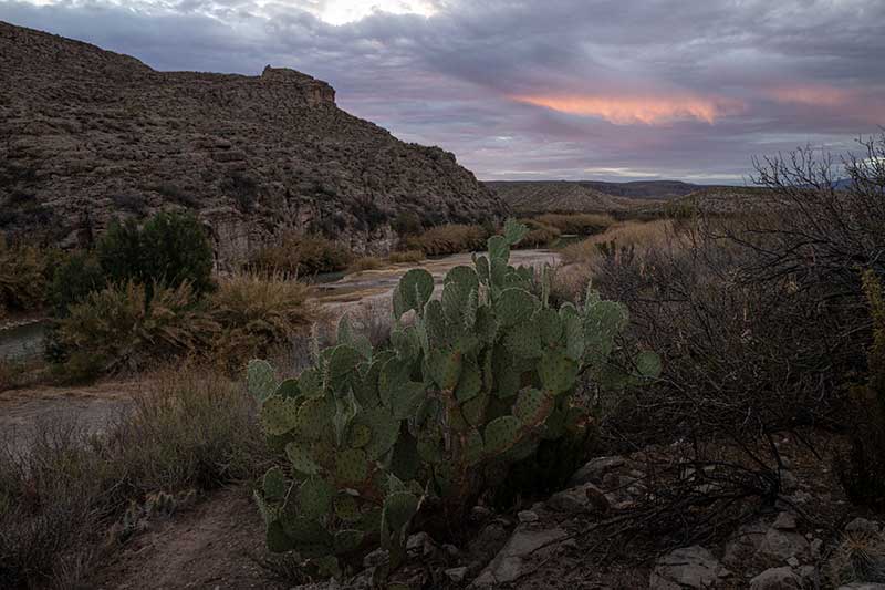 best state parks for stargazing