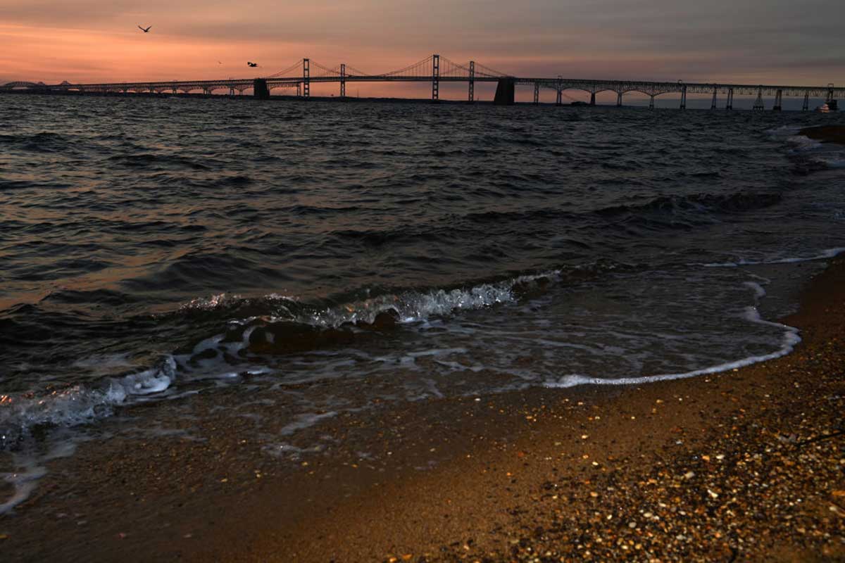 chesapeake bay