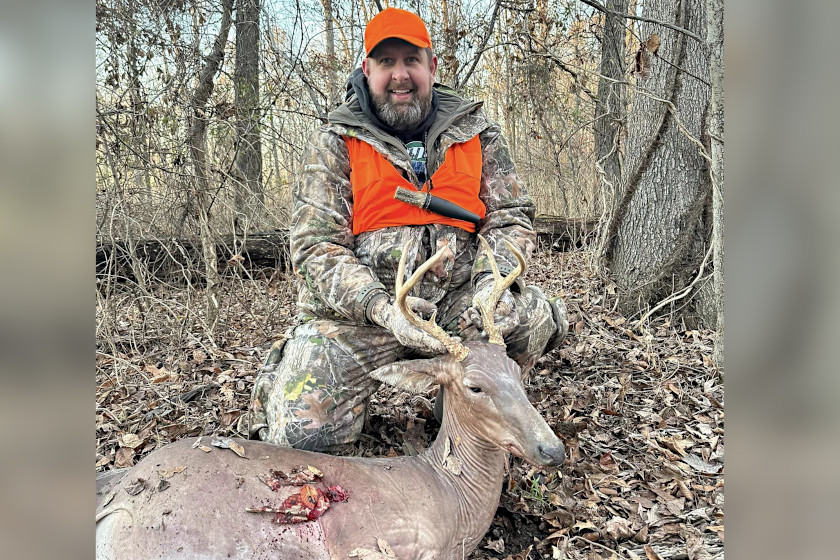 Hairless Buck