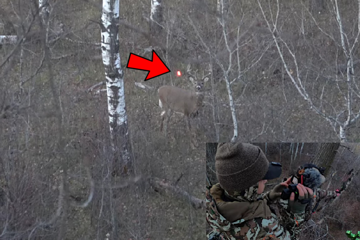 Bowhunter Grazes Buck With Non Lethal Hit It Returns And Gives A