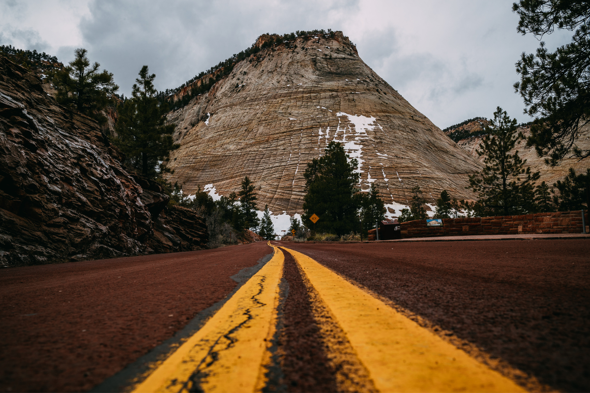 road leading into a national park