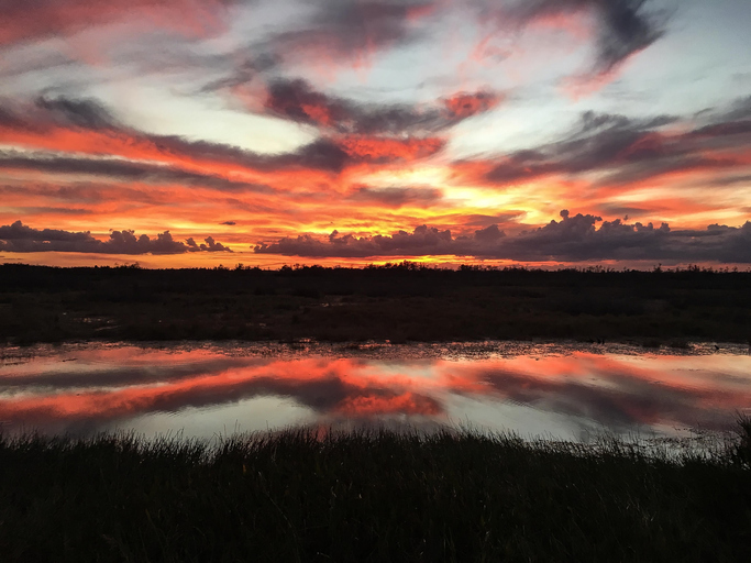 best duck hunting regions