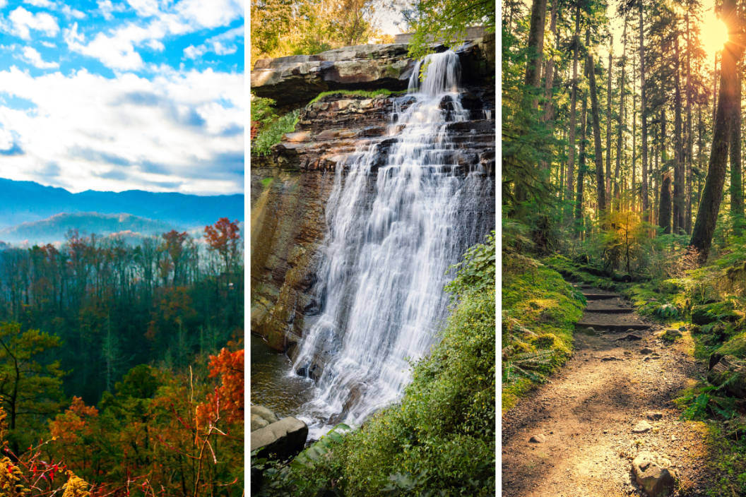 top three national parks