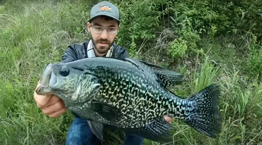 An angler holding a huge black crappie.