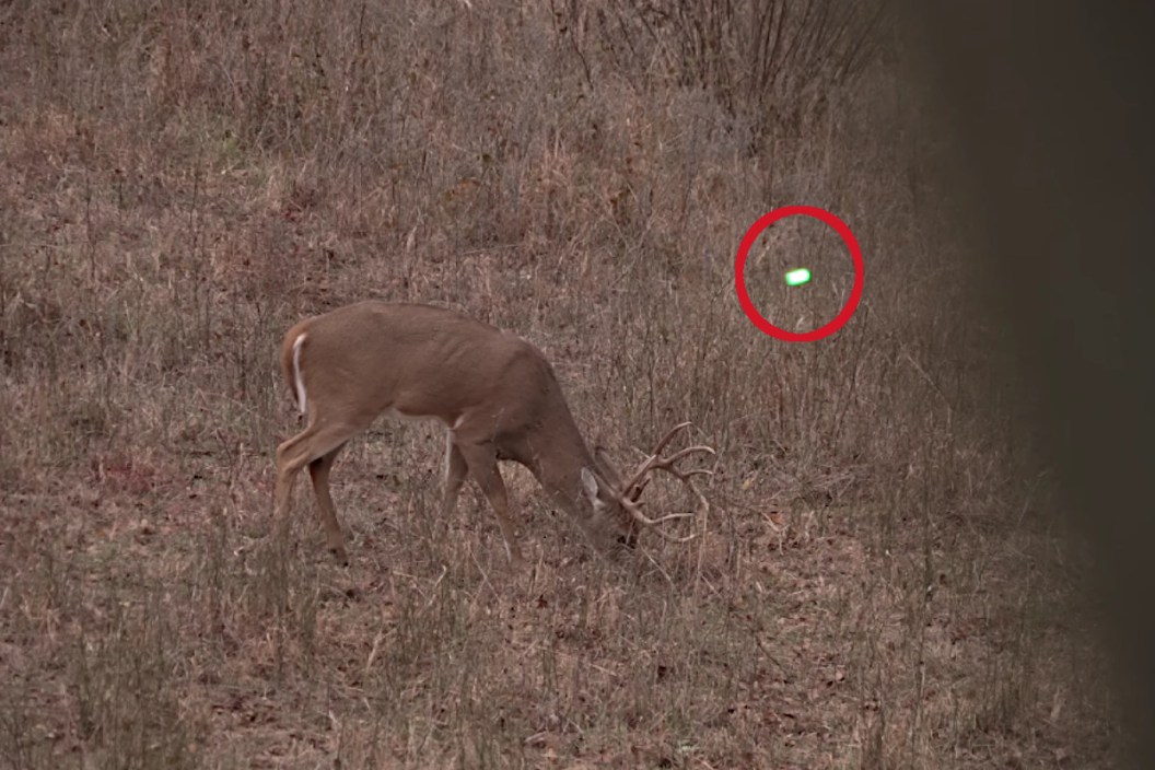 Bowhunter Shoots 5 Deer