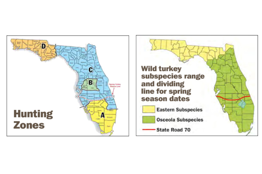 Florida Turkey Season The Key 2023 Dates and Regulations