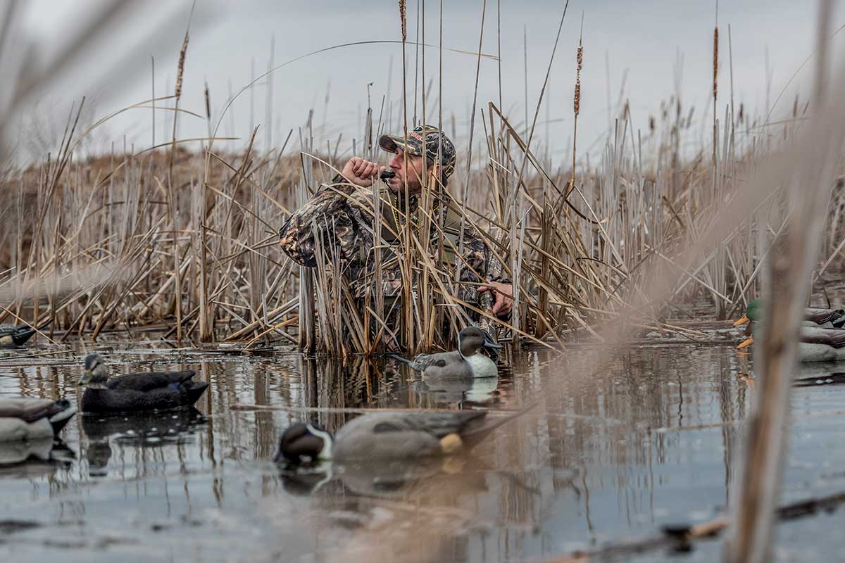 late season duck hunting