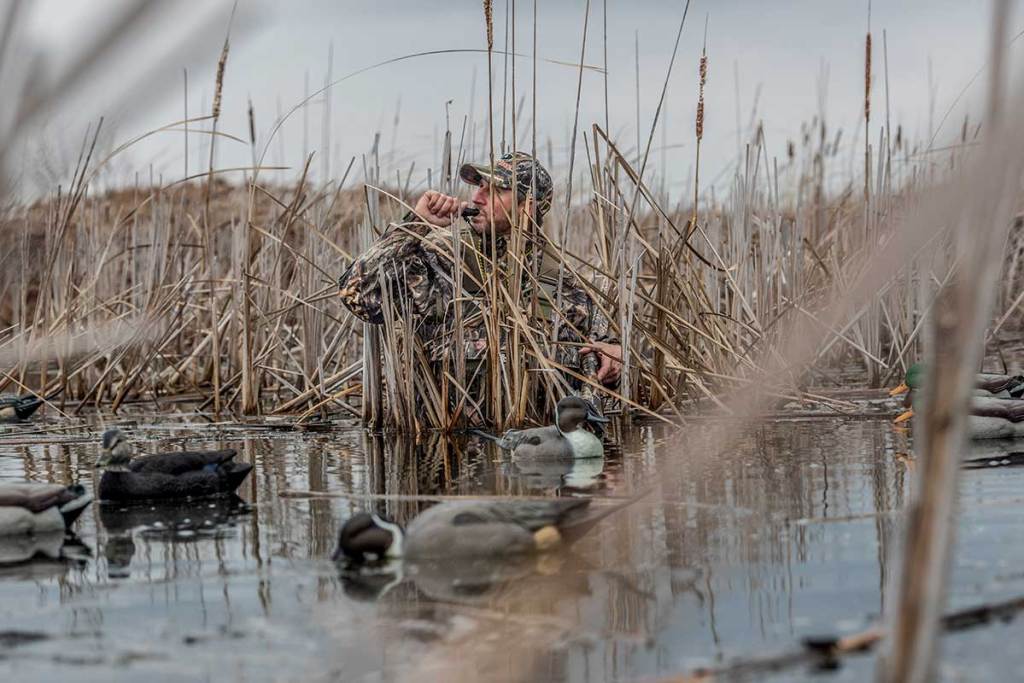 late season duck hunting