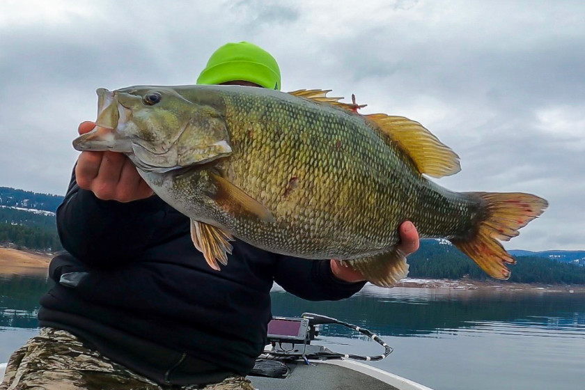 Idaho Catch and Release Smallmouth Record
