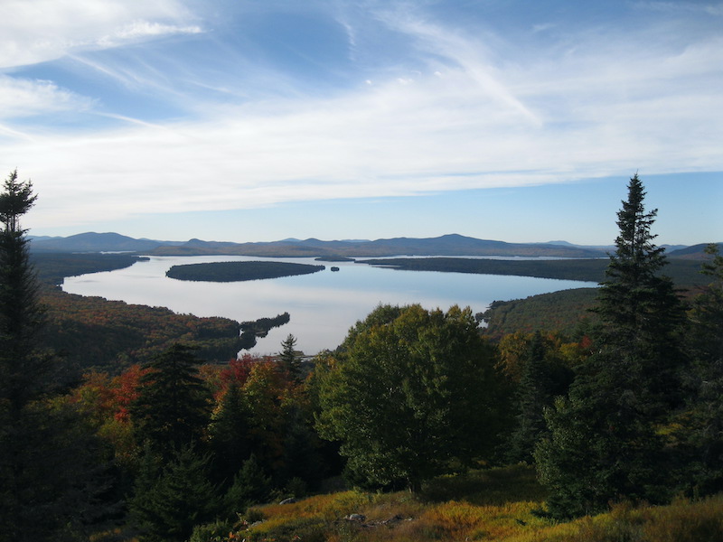 best ruffed grouse hunting states