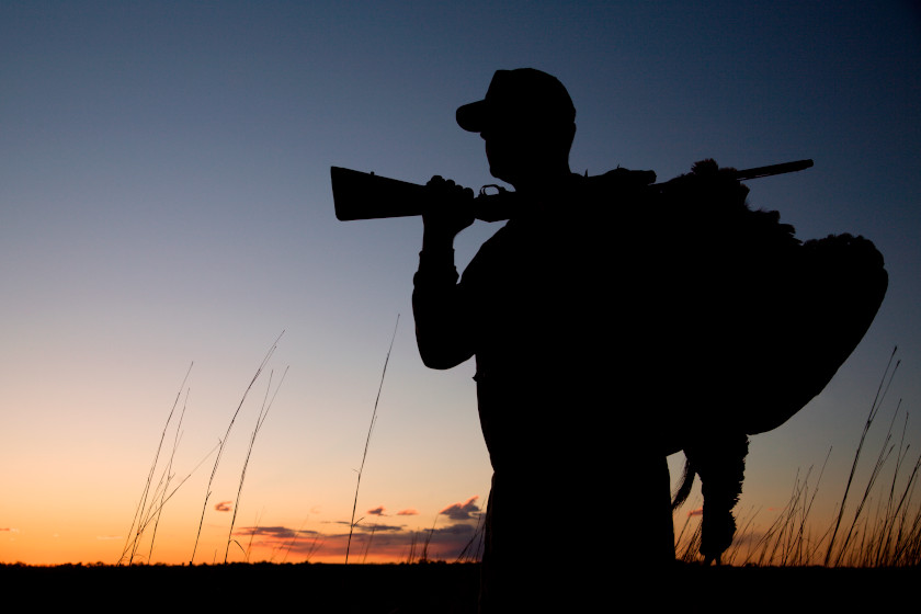 Minnesota Turkey Season Regulations and Key Dates To Know