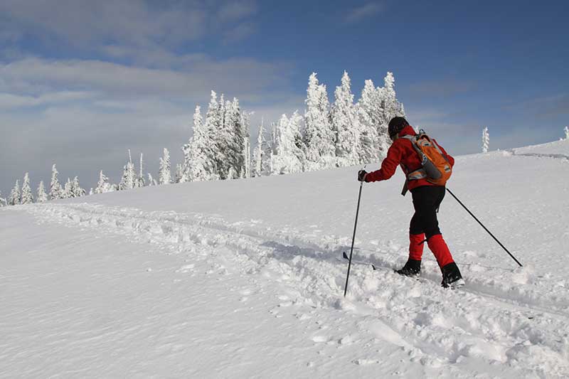 national parks in winter