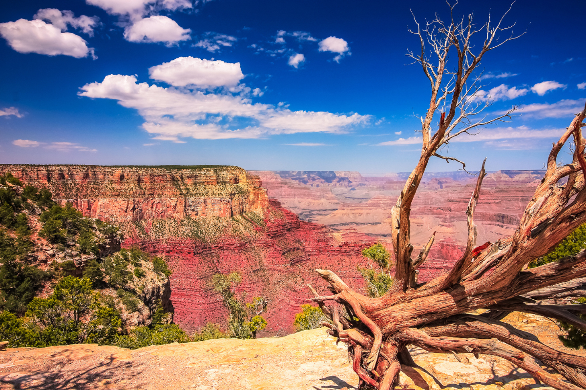 Grand Canyon, Arizona