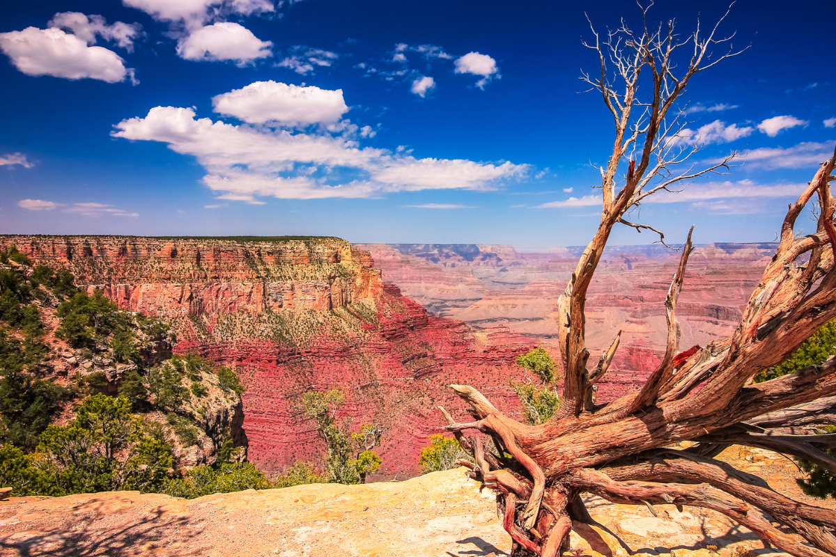 Charges Filled After TikToker Hits Golf Ball Into the Grand Canyon