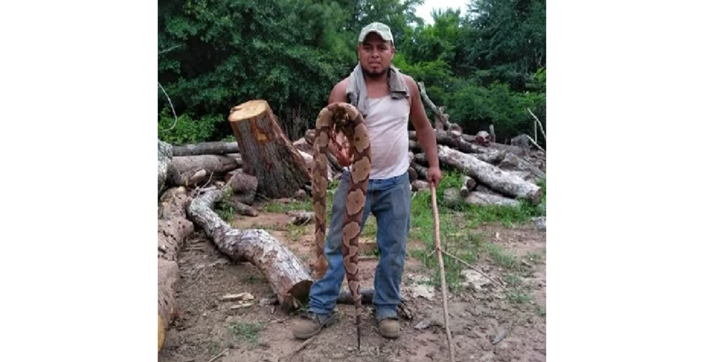 massive copperhead snake in georgia