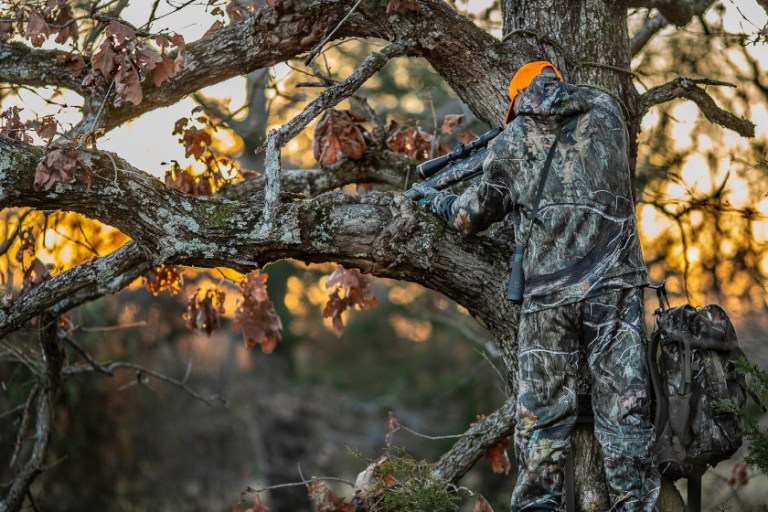 Choosing a Treestand Location The 5 Most Important Factors