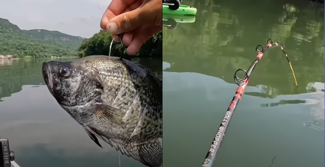 kayak angler uses dead crappie as bait