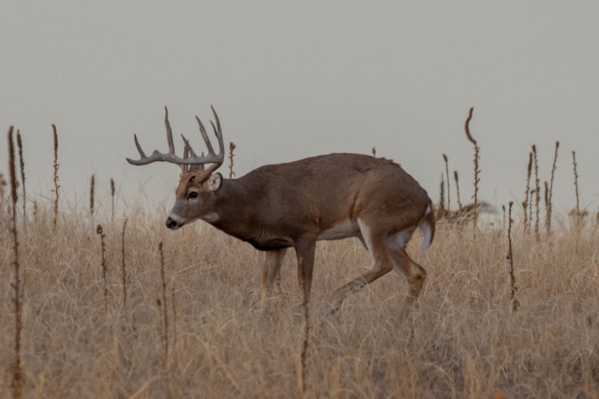 7 Common Outdoor Terms That are Grossly Overused