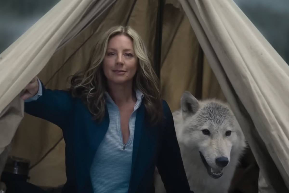 Super Bowl Ad Busch Beer