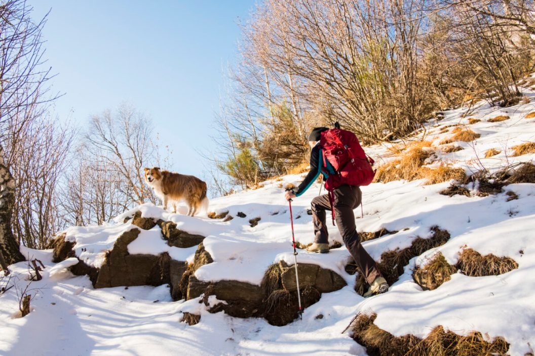 Hiker on a winter trail in