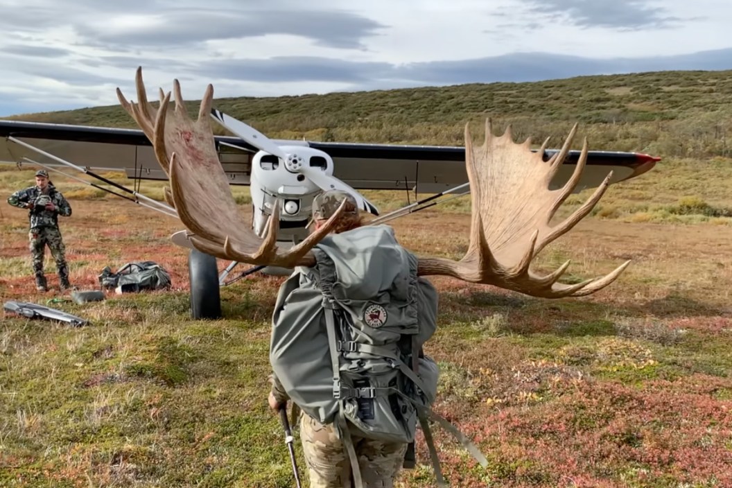 Woman Shoots Alaska Moose