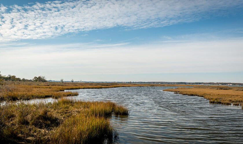 Assateague Island National Seashore in Maryland