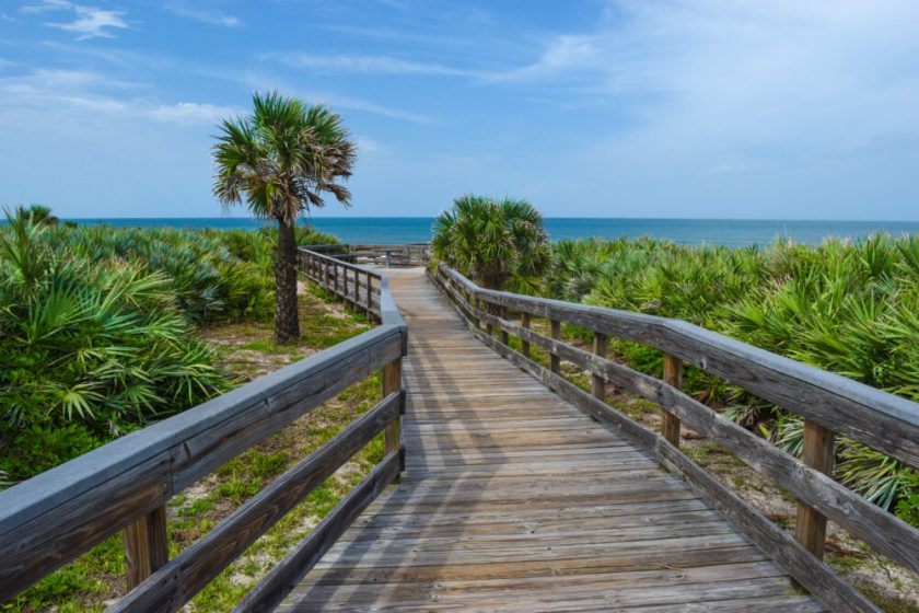 A wooden boardwalk among palmettos and sabal palms leads to the Atlantic Ocean.