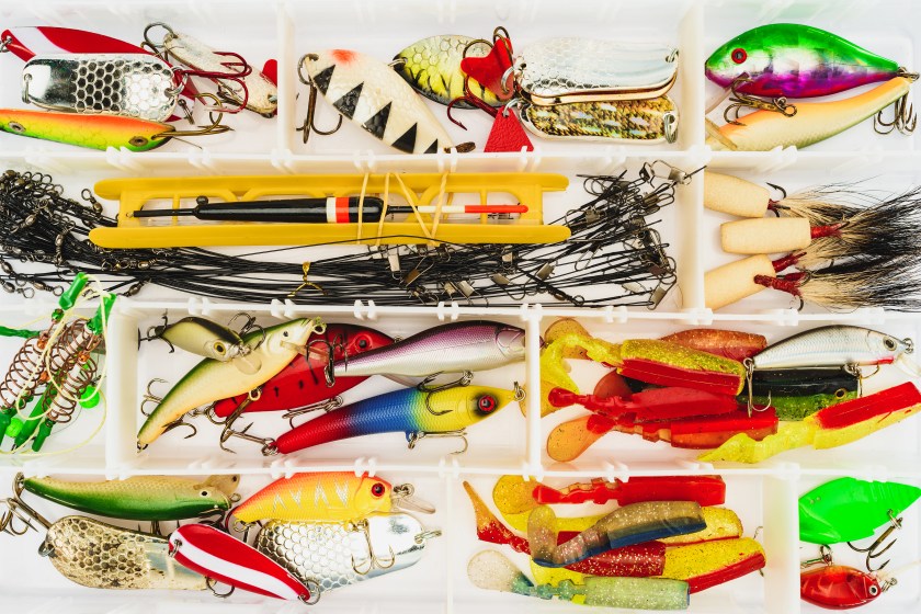 elevated view of fishing tackle and bait in plastic box 