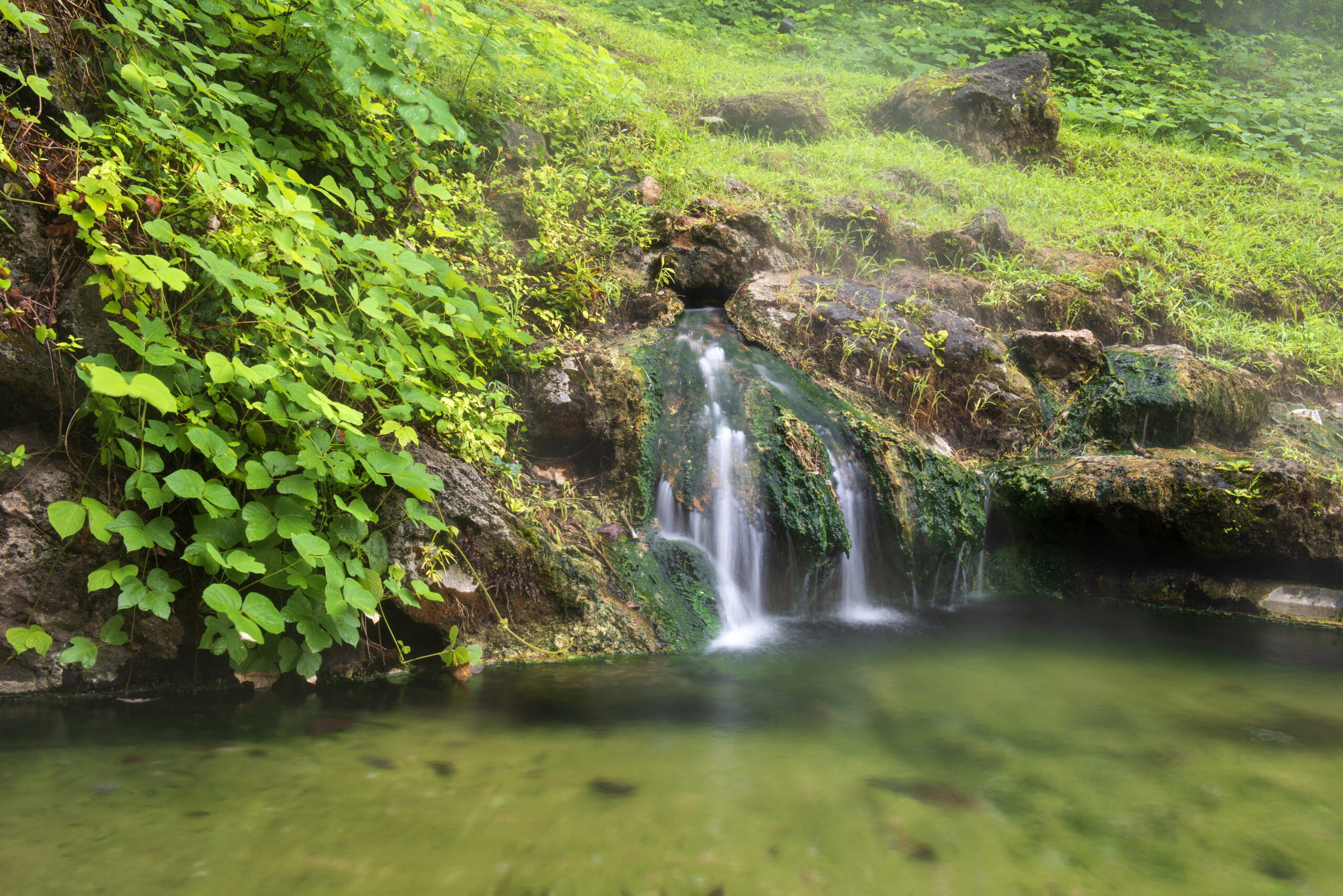 Little waterfalls and pond in Hot Springs National Park, Hot Springs, Arkansas, USA