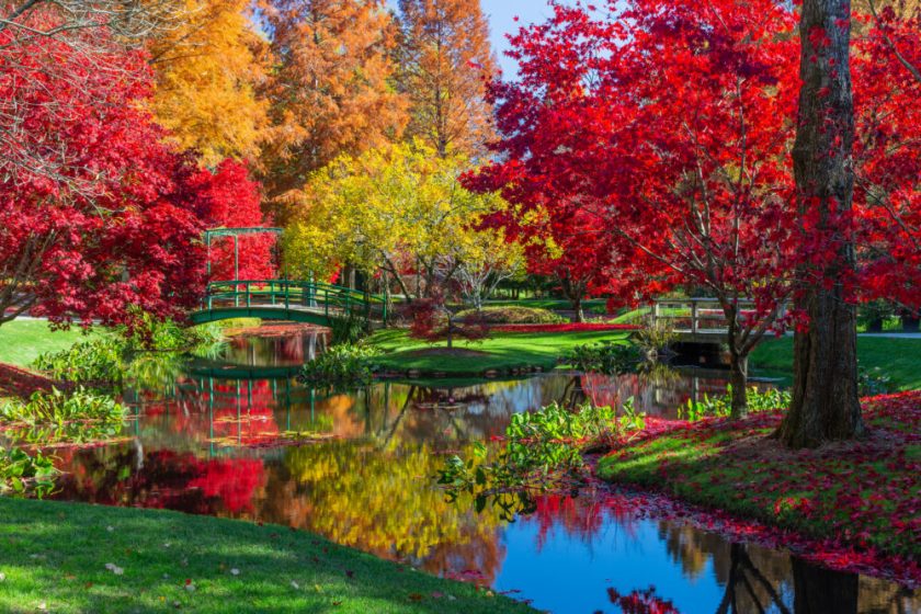 Gibbs Gardens in Georgia