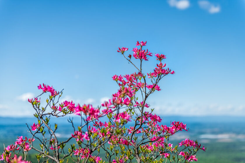 Shenandoah National Park