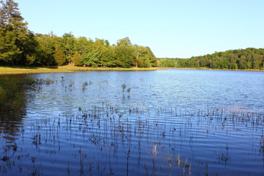 Tishomingo State Park in Mississippi